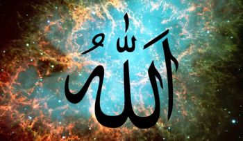Wir lieben Allah und sehnen uns danach Ihm zu begegnen. Wie können wir Ihm also ungehorsam sein?!