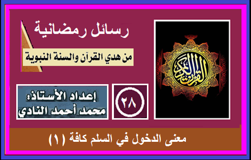 rasael28