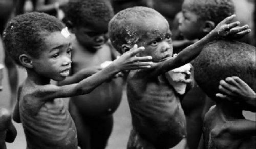 Quarter of a Million Muslims, Majority Children, Died in the Recent Famine in Somalia... Without Anyone Moving to Help