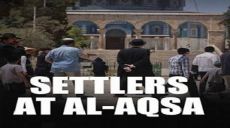 Ihr Armeen der Muslime! Wenn ihr nicht ausrückt, um dem Ort der Nachtreise des Gesandten Allahs (s) beizustehen – wer dann?