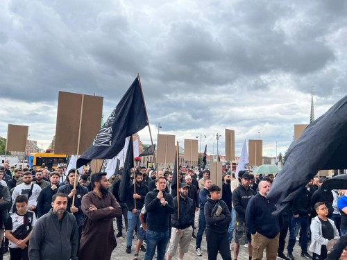 Danimarka: Başörtüsünü Desteklemek İçin Danimarka Parlamentosu Önünde Protesto